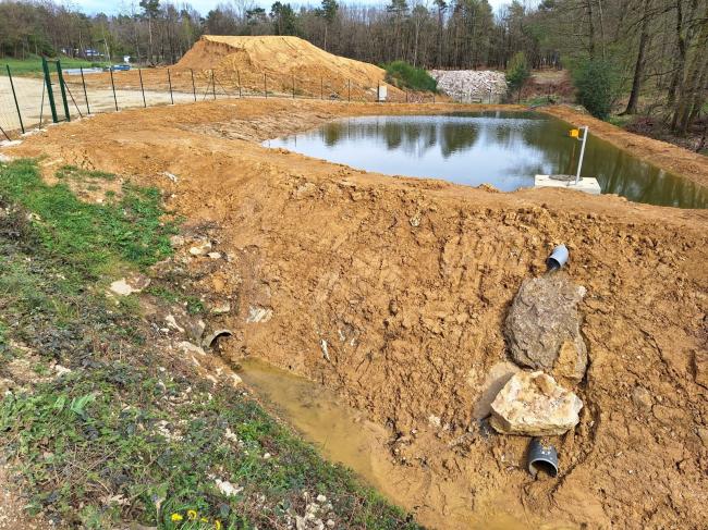 Nouveau bassin non exploité pour le déplacement de la Laîche de Bohème.